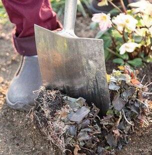 Mon Jardin & Ma Maison 789 DIVISEZ LES VIVACES