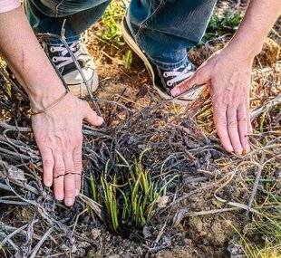 Mon Jardin & Ma Maison 789 DE L'AIR, ON ÉTOUFFE !