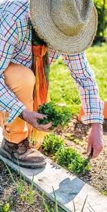 Mon Jardin & Ma Maison 789 CLAP DE FIN POUR LES RÉCOLTES D'HIVER
