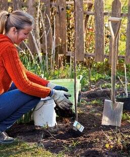 Mon Jardin & Ma Maison 789 ARBRES FRUITIERS : ON NE LÂCHE RIEN