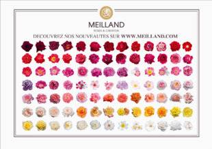 Mon Jardin & Ma Maison 790 MEILLAND