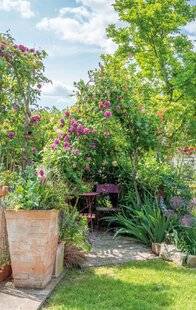 Mon Jardin & Ma Maison 790 AUX PETITS SOINS DES POTS EN TERRE