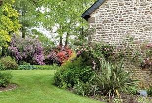 Mon Jardin & Ma Maison 790 DES SURPRISES À CHAQUE SAISON