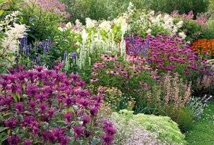 Mon Jardin & Ma Maison 790 VITE, ENCORE PLUS DE COULEURS !