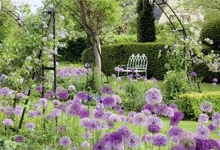 Mon Jardin & Ma Maison 791 MISEZ TOUT SUR LE ROMANTISME