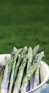 Mon Jardin & Ma Maison 791 L’ASPERGE, ELLE A TOUT D’UNE GRANDE