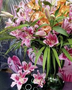 Mon Jardin & Ma Maison 791 AUDACE FLORALE