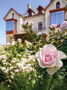 Mon Jardin & Ma Maison 792 LE JARDIN DE CHRISTIAN DIOR