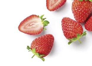 Mon Jardin & Ma Maison 792 SA MAJESTÉ LA FRAISE