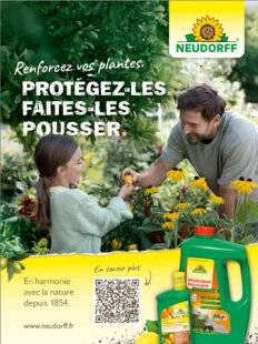 Mon Jardin & Ma Maison 793 NEUDORFF