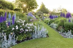 Mon Jardin & Ma Maison 793 DANS LA FRAÎCHEUR DU SOIR, L'ÉVEIL DES SENS