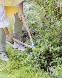 Mon Jardin & Ma Maison 793 NOUVEAU DÉPART POUR LES COUVRE-SOLS