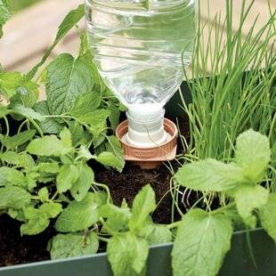 Mon Jardin & Ma Maison 794 UNE ASTUCE QUI A DE LA BOUTEILLE