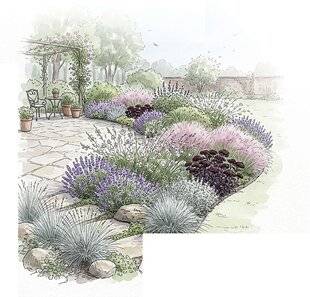 Mon Jardin & Ma Maison 794 UNE BORDURE POUR SOULIGNER UNE ALLÉE