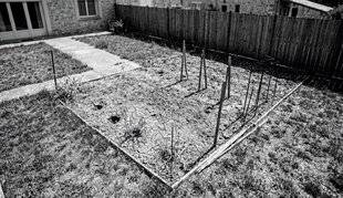 Mon Jardin & Ma Maison 794 UN POTAGER RÉORGANISÉ