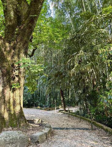 Mon Jardin & Ma Maison 795 DÉPAYSEMENT GARANTI LA BAMBOUSERAIE EN CÉVENNES, ET AU-DELÀ