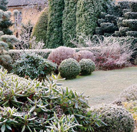 Mon Jardin & Ma Maison 797 L’HIVER ARRIVE, FAITES QU’IL SOIT BEAU !