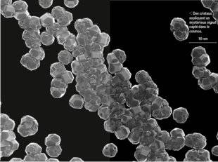 Science & Vie 1211 DES NANODIAMANTS BRILLENT AUTOUR DE JEUNES ÉTOILES