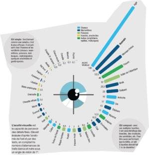 Science & Vie 1211 NOTRE ACUITÉ VISUELLE EST QUASIMENT LA MEILLEURE DU RÈGNE ANIMAL
