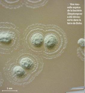 Science & Vie 1219 UN SOL SACRÉ IRLANDAIS PROMET UN NOUVEL ANTIBIOTIQUE