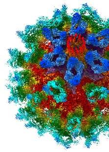 Science & Vie 1219 LE VIRUS DE LA GASTRO CRÉE UN PORTAIL POUR ENVAHIR LES CELLULES