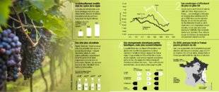 Science & Vie 1219 Les clés pour comprendre le vin face au réchauffement