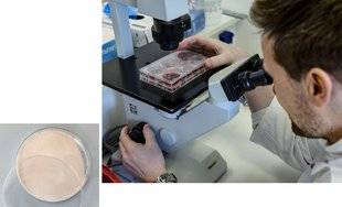 Science & Vie 1219 Des prébiotiques évitent la transmission à l'enfant