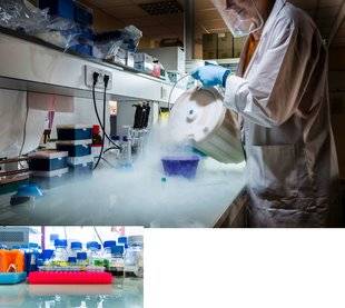 Science & Vie 1219 Des microbes optimisent l'effet des chimiothérapies