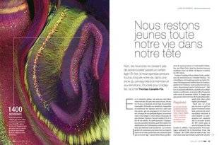 Science & Vie 1220 LES NEURONES SE RENOUVELLENT JUSQU'À 90 ANS !