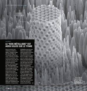 Science & Vie 1220 LE “BOIS MÉTALLIQUE” EST AUSSI SOLIDE QUE LE TITANE