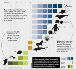 Science & Vie 1220 LES ANIMAUX DU PÔLE SUD RÉSISTERONT MIEUX QUE PRÉVU AU RÉCHAUFFEMENT