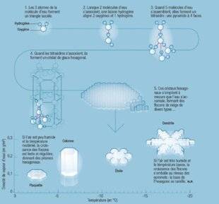 Science & Vie 1220 Pourquoi les flocons de neige ont-ils des formes hexagonales ?