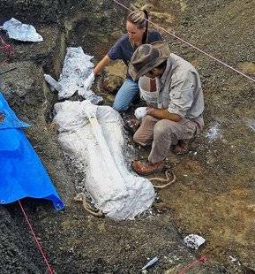 Science & Vie 1221 ILS ONT RETROUVÉ LES TÉMOINS DE L'ASTÉROÏDE TUEUR