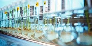 Science & Vie 1221 De nouvelles techniques relancent le débat