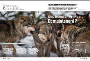 Science & Vie 1222 DE L'UTILITÉ ÉCOLOGIQUE DU LOUP