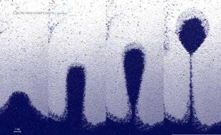 Science & Vie 1222 DES BULLES DE SABLE ARTIFICIELLES DÉFIENT LA PHYSIQUE