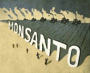 Science & Vie 1222 Glyphosate : un scandale qui cache le vrai problème !