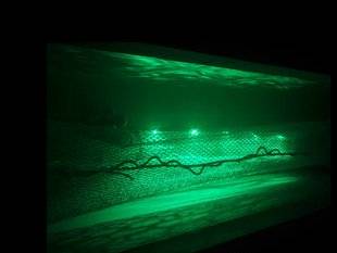 Science & Vie 1222 Des filets lumineux testés pour pêcher de façon sélective