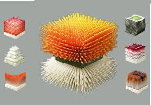 Science & Vie 1222 Un restaurant va imprimer en 3D des sushis personnalisés