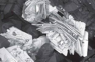 Science & Vie 1222 Bienvenue dans la géodiversité