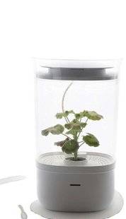 Science & Vie 1222 Un appareil à chouchouter les plantes