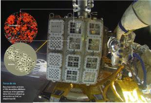 Science & Vie 1223 UN AN ET DEMI DANS L'ESPACE… ET TOUJOURS VIVANTS !