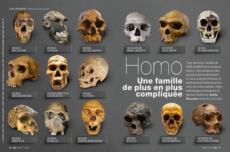 Science & Vie 1223 Une famille de plus en plus compliquée