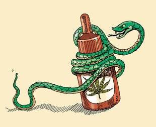 Science & Vie 1223 Arrêtez de confondre fumette et cannabis thérapeutique !