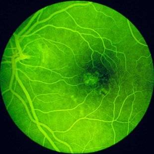 Science & Vie 1223 Tous les organes du corps grandissent-ils ?