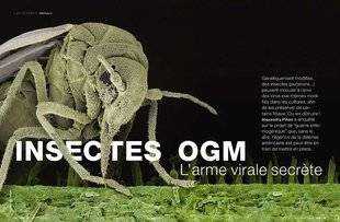 Science & Vie 1224 QUAND LES INSECTES PARTAIENT EN GUERRE