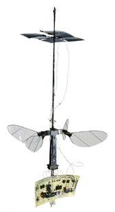 Science & Vie 1224 UN ROBOT INSECTE INAUGURE LE VOL AUTONOME