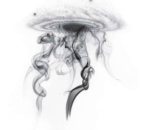 Science & Vie 1224 LES PHYSICIENS SAISIS DE VERTIGES