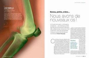 Science & Vie 1226 L'OS FABELLA N'EST PAS INUTILE