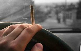 Science & Vie 1226 Le cannabis au volant est plus dangereux pour les petits fumeurs !